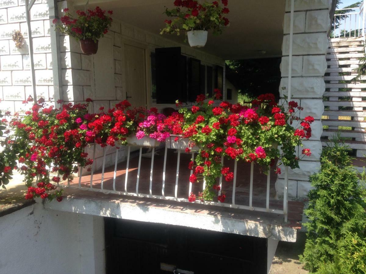 Apartman White House With Pool&Sauna&Jaccuzi Νόβι Σαντ Εξωτερικό φωτογραφία